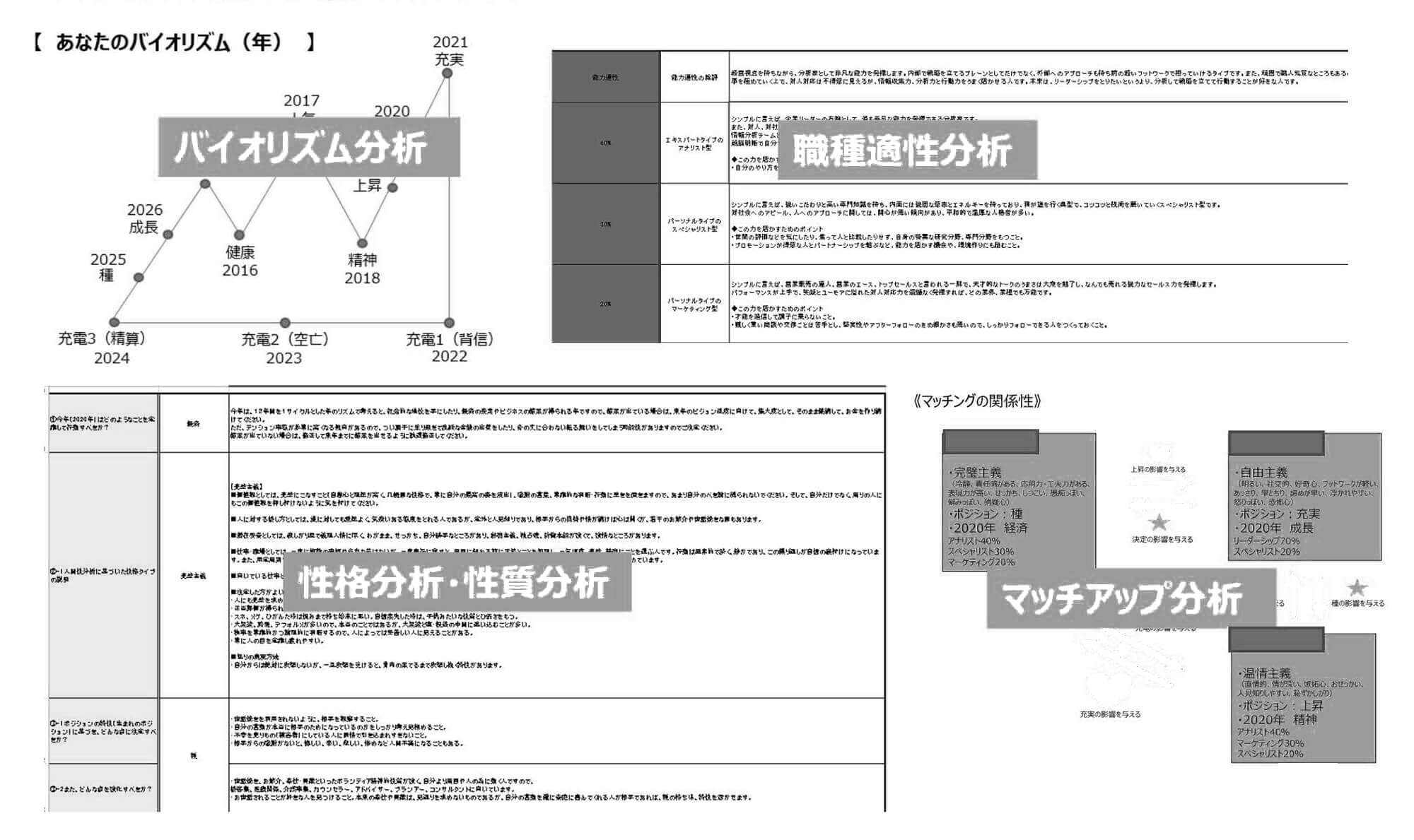 バイオリズム分析結果